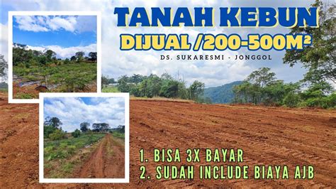 Tanah Dijual Dibogor Lokasi Desa Sukaresmi Kec Sukamakmur Jonggol