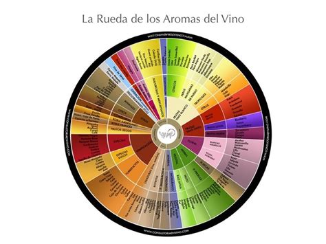 La Magia De Los Aromas Del Vino • Forbes México