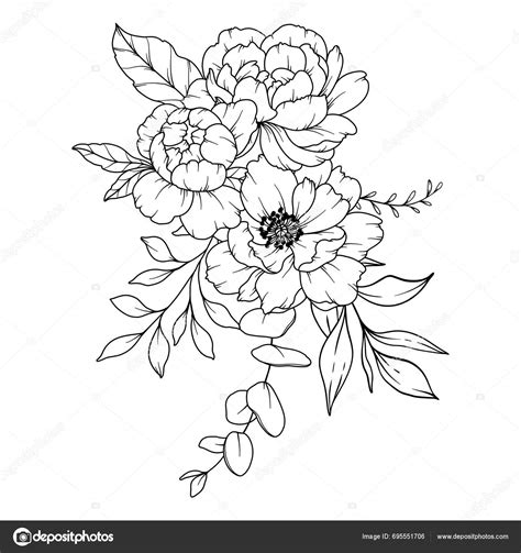 Peony Line Drawing Ramos Florales Blanco Negro P Gina Para Colorear