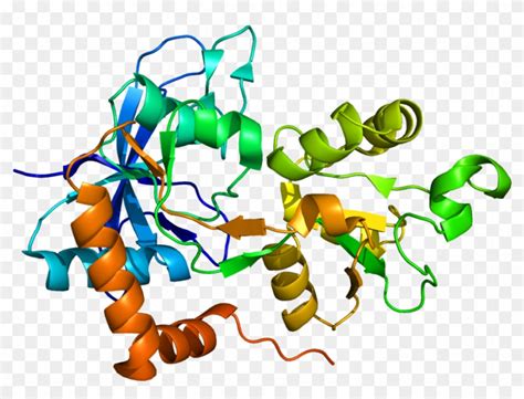 Alpha Lactalbumin Molecule Structure - Free Transparent PNG Clipart Images Download