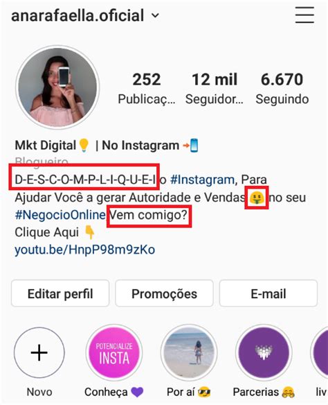 Curso Potencialize Insta Aprenda A Transformar Seguidores Em Clientes