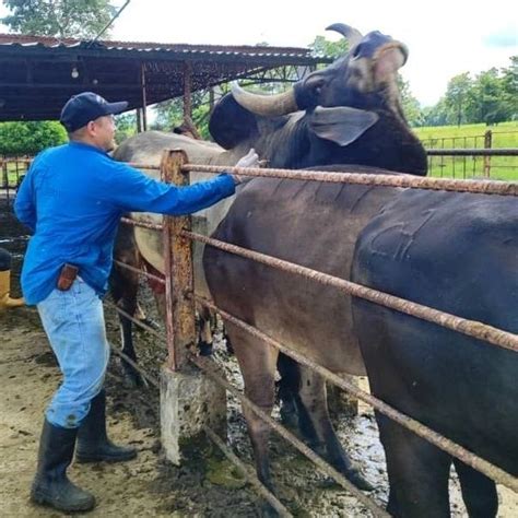 Diario Frontera Invitan A Productores De Alberto Adriani A Sumarse A