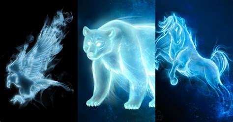 Harry Potter Patronus Quiz - What Is Yours? - Scuffed Entertainment