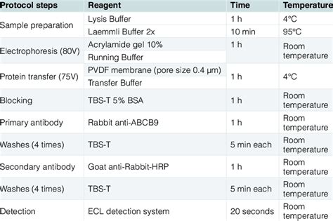 Western Blot Protocol. | Download Table