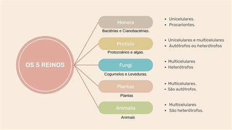 Os Reinos Biol Gicos Esquemas Biologia Docsity