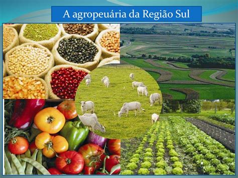 Quais São Os Principais Aspectos Da Economia Sul-americana