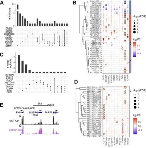 Gut 高通量研究rna结合蛋白 Lncrna相互作用，发现新的肝癌抑癌机理 知乎