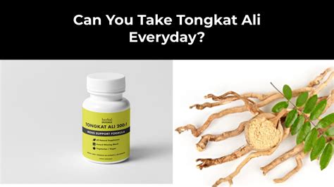 Can You Take Tongkat Ali Everyday Tongkat Ali Australia