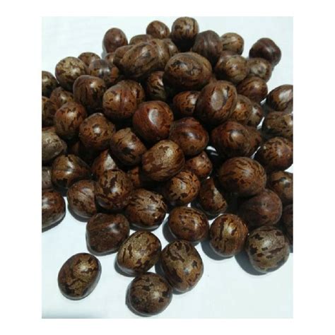 Jual Biji Karet 100 Biji / Biji Karet Aduan / Karet Unggul / Biji Karet ...