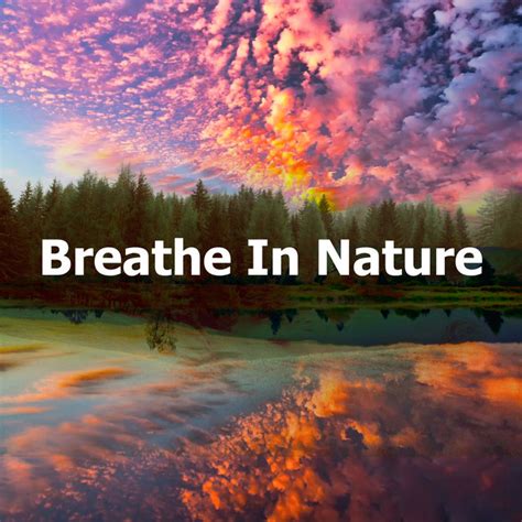 Breathe In Nature Album By Nature Sounds Spotify