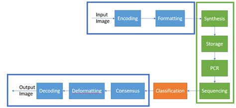 DNA data storage processing steps. | Download Scientific Diagram