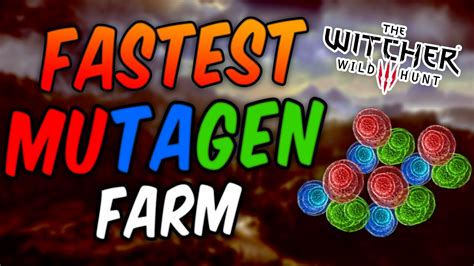 Witcher Next Gen Fastest Mutagen Farm Red Green Blue Youtube