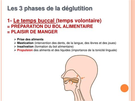 PPT L es troubles de la déglutition chez la personne âgée PowerPoint