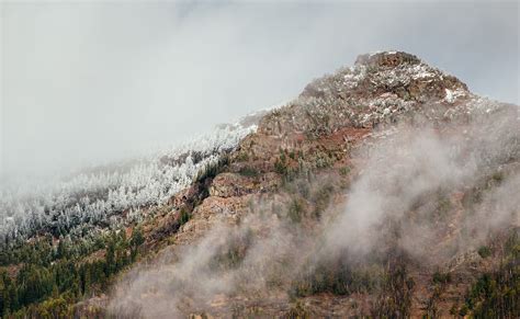 How to Photograph Wildlife in Yellowstone National Park