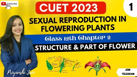 Sexual Reproduction In Flowering Plants L 1 Chapter 2 Priyanshi