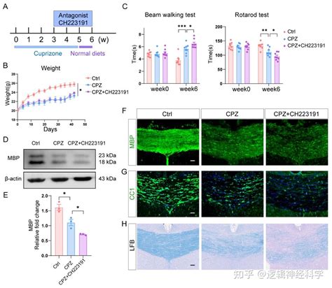 J Neuroinflammation｜复旦大学汪军/王彦青团队揭示小胶质细胞AhR受体调控吞噬作用改善脱髓鞘损伤中的机制 - 知乎