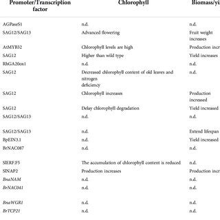 Promoter Transcription Factor Regulates The Effects Of Leaf Senescence