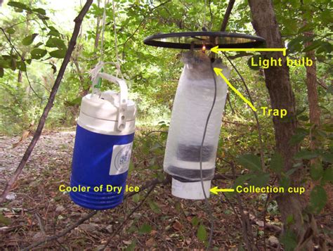 Natural Mosquito Control Should Mosquito Traps Become Part Of Your