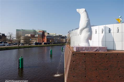 Pissende Ijsbeer Officieel Onthuld Bij Groninger Museum