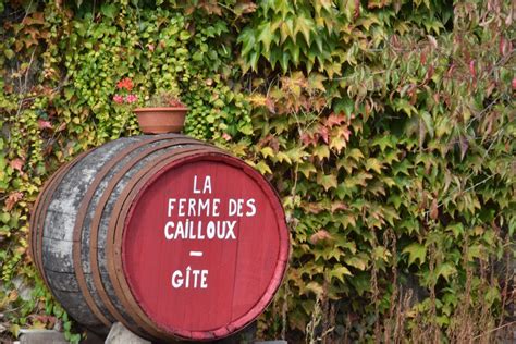 G Te La Ferme Des Cailloux Rural G Te In Sassay In Le Loir Et Cher