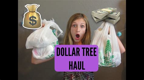 Huge Dollar Tree Haul September 2016 Youtube