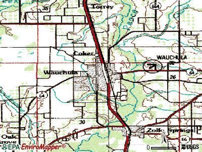 Wauchula topographic map | Topographic map, Florida, Map