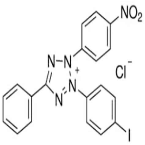Iodo Nitro Tetrazolium Int At Best Price In Mumbai