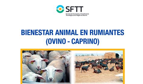 La Región de Murcia edita una guía sobre el bienestar animal en