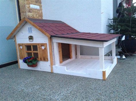 Fun house design ideas for your pets how to building a warm dog house best dog houses for winter ...