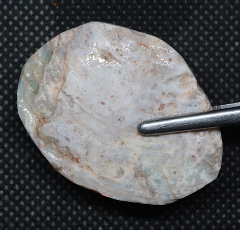 Australia Natural Coober Pedy Fossil Shell Opal Rough 3425cts Ebay