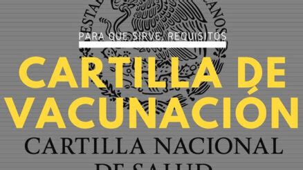 PROFEPA Qué es significado cómo denunciar funciones