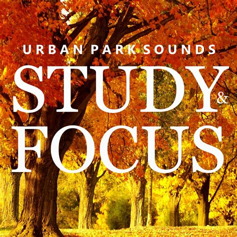 study  focus urban park sounds  studying feat study alpha