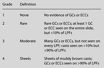 Granular cast index. GC = Granular casts; ECC = epithelial cell casts;... | Download Scientific ...