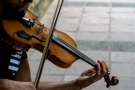 Instrumento De Corda Tocado Com Os Dedos
