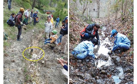 「大地の再生」実践マニュアル 空気と水の浸透循環を回復する 矢野 智徳 大内 正伸 大地の再生技術研究所 本 通販 Amazon