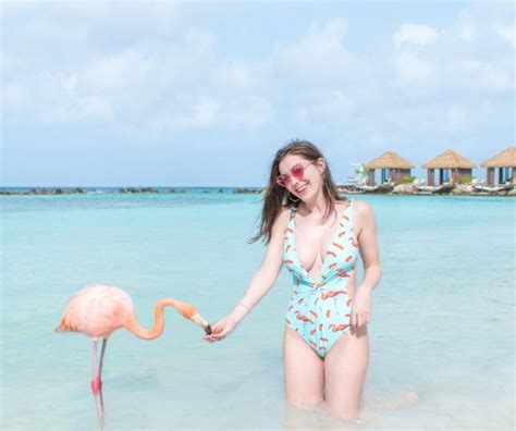 How To Visit Flamingo Beach Aruba Day Passes Is It Worth It