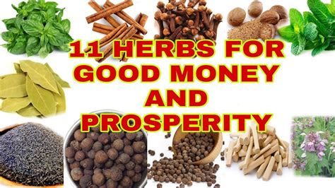 Herbs For Good Luck Money And Prosperity Apple Paguio Youtube