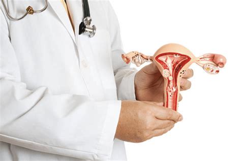 Uterine Fibroid Specialist Sydney Dr Derek Lok