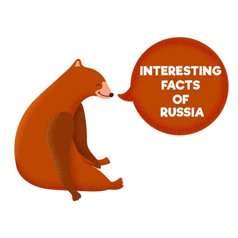 Interesting facts of the Russian animal bear symbol. Tourist ...