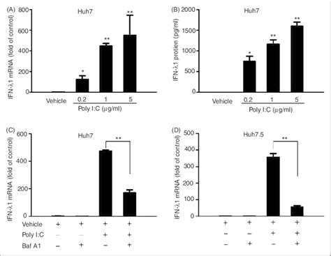 Tlr3 Activation Induces Ifn 1 Expression A Effect Of Poly I C On Download Scientific Diagram