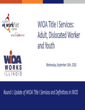 Fillable Online Wioa Title I Services Adult Dislocated Worker And