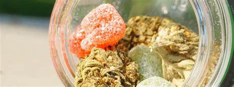 What Are Edibles? A Comprehensive Guide - Cannabis Tutorials