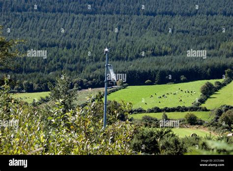 Kilbrannish Forest Recreation Area Co Carlow Ireland Europe Stock