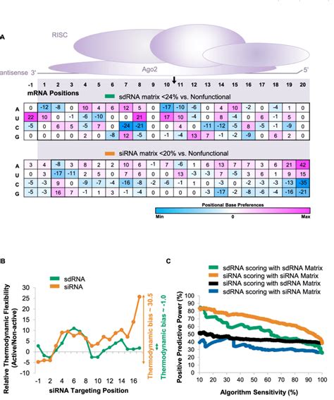 Algorithms Derived From Naked Sirna Do Not Have Predictive Power For