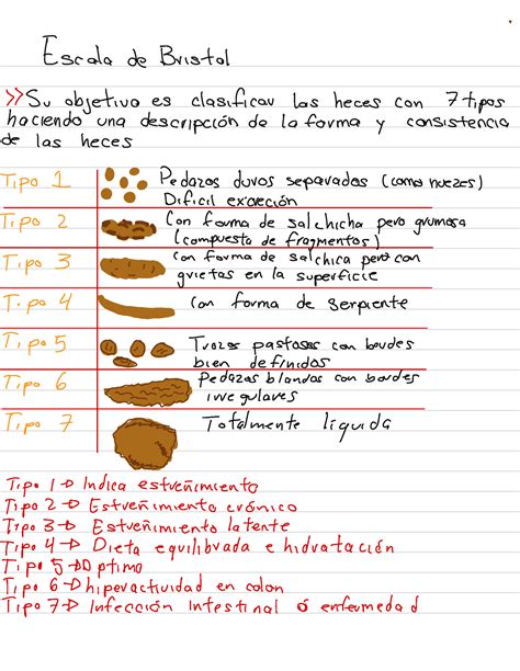 Escala De Bristol T Escala De Bristol Su Objetivo Es Clasificar Las