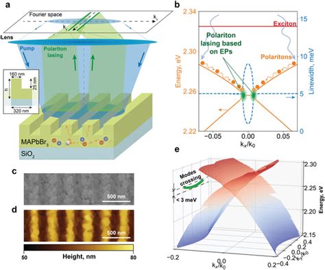 Concept Of The Polariton Lasing Enabled By The Exceptional Points In