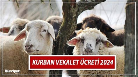 Kurban vekalet ücreti 2024 Bu yılki vekaletle kurban kesim bedeli ne