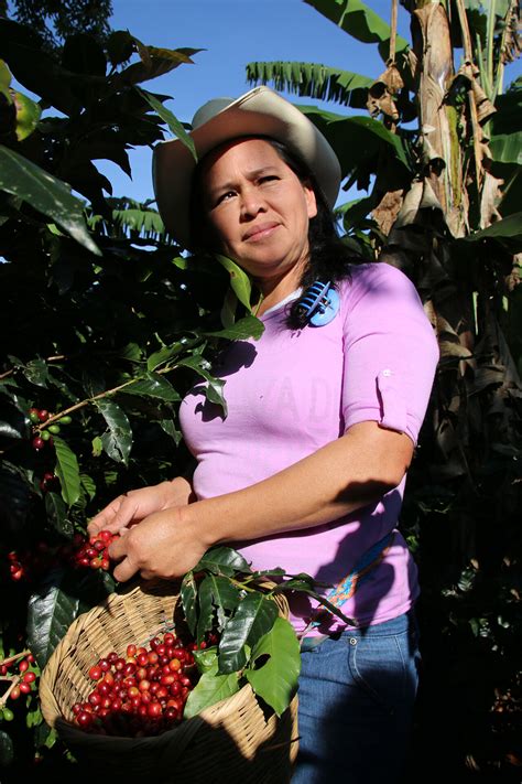 Rendern Richtig Zuweisung Fair Trade Kaffee Gepa Talentiert Nautische