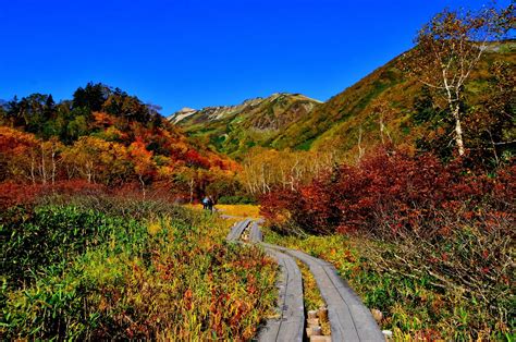 東海・北陸エリアのおすすめ紅葉登山12選！絶景紅葉スポットと登山コースを徹底解説｜登山レポート｜レポート｜山のコト｜登山・トレラン・山スキー