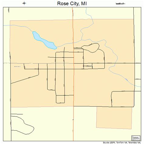 Rose City Michigan Street Map 2669680